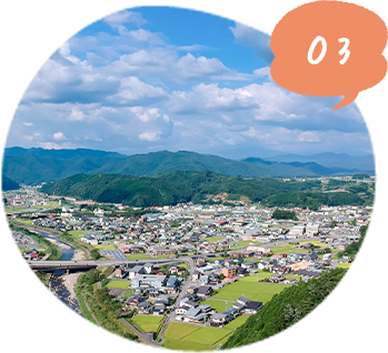 03